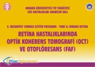 IV. Mezuniyet Sonrası Eğitim Programı Tıbbı ve Cerrahi Retina